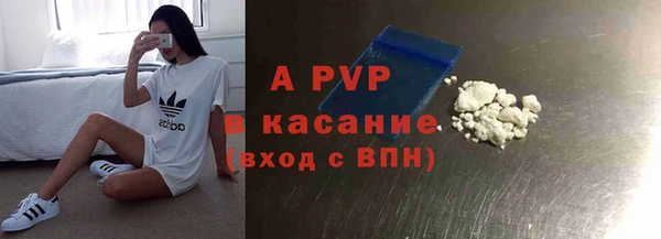 прущие грибы Пролетарск