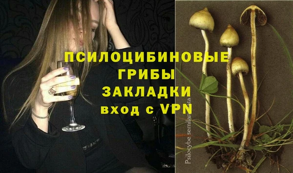 СК Горнозаводск