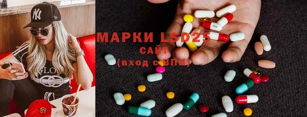 СК Горнозаводск