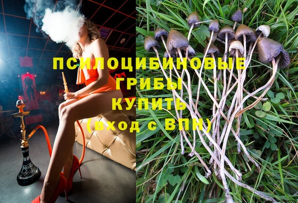 марки lsd Горняк