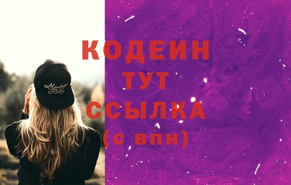 СК Горнозаводск