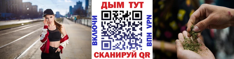 Шишки марихуана план  это какой сайт  Вихоревка  где найти  